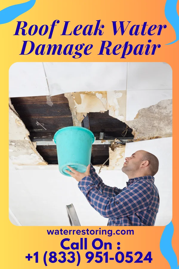Roof Leak Water Damage Repair in Hallsville, TX